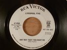 Liverpool Five  Any Way That You Want Me/The Snake  Promo Mod, Garage 1966 RCA