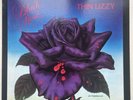Thin Lizzy - Black Rose UK LP Excellent + with bio/tour programme 1979 rare