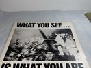 Alternative TV What You See Is What You Are Vinyl Lp