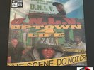 UNLV Uptown 4 Life Double Vinyl LP Cash Money Records B.G. Birdman