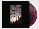 *Sealed* MONEEN Are We Really Happy Who We Are Right Now TOUR Vinyl Black/Red
