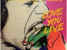 Vinyle - The Rolling Stones - Love You Live (2xLP, Album)