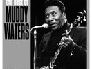 Muddy Waters The Best of Muddy Waters: 1948 to 1956 (Vinyl) 12