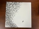 Wilco - Sky Blue Sky (Vinyl, 2007, Nonesuch)