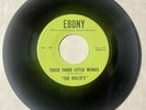 Delcos 1962 DOOWOP 45 These Three Little Words / Arabia EBONY Original M/M- HEAR