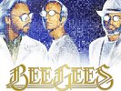 The Bee Gees Timeless: The All-time Greatest Hits (Vinyl) 12
