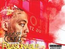 STOVE GOD COOKS Reasonable Drought LP NEW WHITE VINYL Marci Enterprises reissue