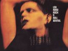 Lou Reed Rock N Roll Animal (Vinyl) 12
