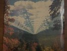 Tame Impala ‘ Innerspeaker ‘ 2XLP Vinyl 2021 MODVL128 Modular Sealed NEW Mint