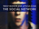 THE SOCIAL NETWORK 2020 DEFINITIVE EDITION 2XLP Trent Reznor Nine Inch Nails