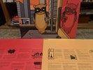 SUPER FURRY ANIMALS Radiator -2XLP -2017 U.K. PRESSING/ NEAR MINT COND