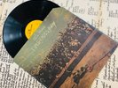 NEIL YOUNG Time Fades Away UK 1973 Reprise OG Folk Rock LP Superb EX/NM Poster