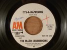 The Magic Mushrooms It's-A-Happening/Never More Promo Fuzz Psych Garage 1966 A&M