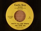 The Love Ins  That's All She Wrote/Everything's There  RARE  Garage