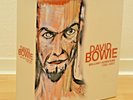 David Bowie - Brilliant Adventure (1992-2001) 18x Vinyl LP Box