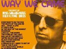 Noel Gallagher's High Flying Birds - Back The Way We Came: Vol. 1