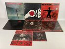 Vinyl LP and 12