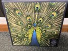 Expecting to Fly DELUXE 3LP BOX SET - The Bluetones (Record 2021) BLUE VINYL New