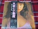 Kate Bush 1978 Kick Inside   LP Vinyl Japan 1982 EMS-81042  1ST   W/ Obi  Insert