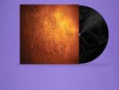 Olivia Rodrigo - Can't Catch Me Now 7” Etched Side B Vinyl [Hunger Games]