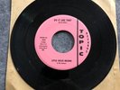 LITTLE WILLIE BROWN & The Cameos 45 Record- 10 Records In All