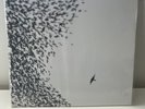 Wilco - Sky Blue Sky (Vinyl, 2007, Nonesuch)