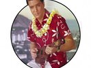 Elvis Presley - Blue Hawaii - Picture-Disc Découpé (Vinyle)