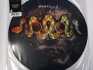 Vinyl Record 12