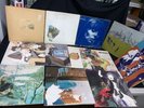 Joni Mitchell 12 LP Lot:Blue,Court &Spark,For The Roses,Hissing,Ladies Of Canyon