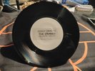 Damned Dodgy Demo Love Song/Burglar