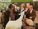 THE BEACH BOYS PET SOUNDS LP, LIME GREEN LABELS, ST2458, VG+