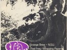 EP CREAM STRANGE BREW EPH60034 AUSTRALIA