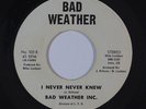 70s Soul 45 BAD WEATHER INC I Never Never Knew/You Really Got A Hold On Me