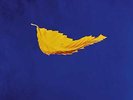 New Order True Faith 1963 (Vinyl 12