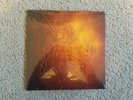 Vinyl 7