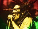 Bob Marley Kaya (Vinyl) 12