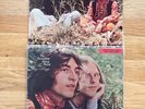 INCREDIBLE STRING BAND - Wee Tam AND The Big Huge LPs (freak folk acid)