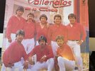 LOS VALLENATOS DE LA CUMBIA / FANNY - MENTIRAS / vinyl record