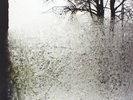 Bon Iver For Emma, Forever Ago Records & LPs New