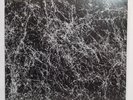 Saosin Translating the Name Black & White Marble Hand Pour Variant Overrun /100
