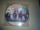SUPERBE 33T  PICTURE DISC THE BEATLES 14 PLUS GRANDS SUCCES