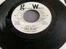 Northern Soul, R&B, Juanita Williams, Baby Boy -￼ us Golden World Demo Mint-