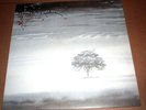 Genesis Wind and Wuthering (1976) UK vinyl album LP inner hatter textured NM/NM