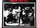 Radio Birdman - Burn My Eye, 12