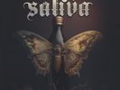Saliva - Revelation [Used Very Good Vinyl LP]