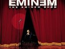 Eminem - The Eminem Show 2LP US release new and sealed free postage