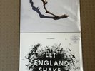 PJ HARVEY I Inside The Old Year Dying & Let England Shake Vinyl Bundle Both New