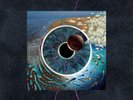 Pink Floyd - Pulse (180G/4LP/52 Pp Book)