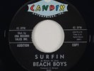 Beach Boys 