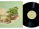 KLAATU - Endangered Species LP RARE Daffodil Records Vinyl VG+